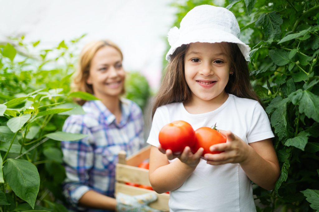 Family growing organic vegetables with children and family at farm