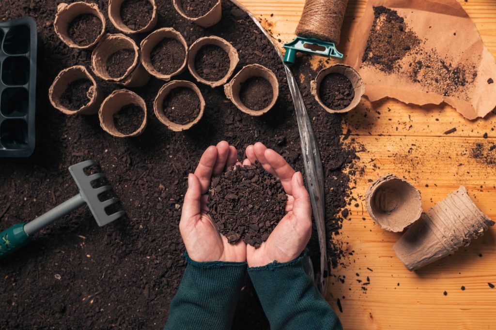 Gardener handful of soil in cupped hands